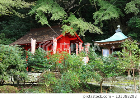 [Oita Prefecture] Inari Hall at Ryogoji Temple on the Kunisaki Peninsula 133388298