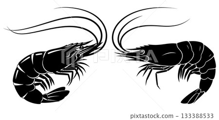 Two detailed shrimp or prawns with long antennae facing each other in a marine seafood illustration Two detailed shrimp or prawns with long antennae facing each other in a marine seafood illustration 133388533