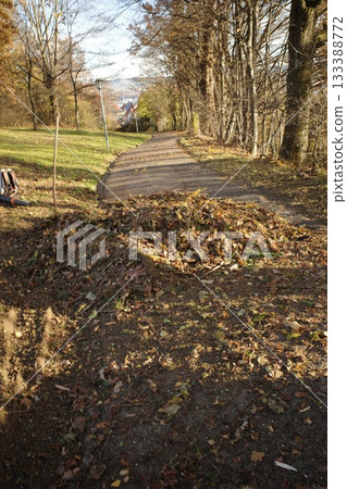 Autumn Park Path with Fallen Leaves and Distant Town Autumn Park Path with Fallen Leaves and Distant Town 133388772