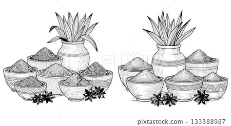 Hand drawn illustration featuring bowls of granular spices, star anise, and a potted plant Hand drawn illustration featuring bowls of granular spices, star anise, and a potted plant 133388987