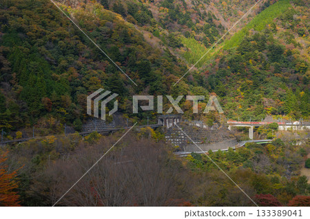 靜岡縣長島水壩附近(陡坡路段)大井川鐵道井川線上的Abt型機車 靜岡縣長島水壩附近(陡坡路段)大井川鐵道井川線上的Abt型機車 133389041