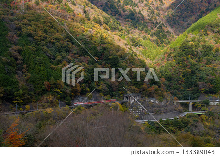 靜岡縣長島水壩附近(陡坡路段)大井川鐵道井川線上的Abt型機車 靜岡縣長島水壩附近(陡坡路段)大井川鐵道井川線上的Abt型機車 133389043