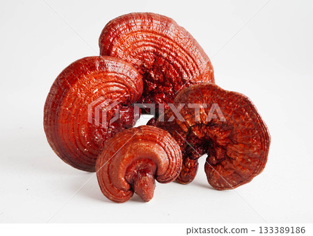 Lingzhi or Reishi mushroom with capsules, organic natural healthy food. 133389186
