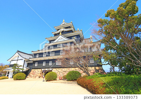 Scenery of Okayama Castle, Okayama City, Okayama Prefecture Scenery of Okayama Castle, Okayama City, Okayama Prefecture 133389373
