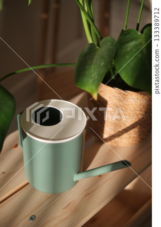 Modern watering can next to green plants in a cozy room Modern watering can next to green plants in a cozy room 133389712