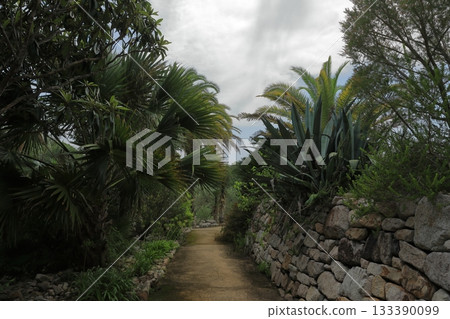 The European countryside-like path in Monet's Garden in Kitagawa Village 133390099