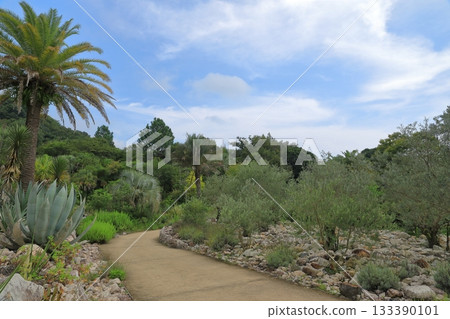 Beautiful scenery of the walking path in Monet's Garden in Kitagawa Village Beautiful scenery of the walking path in Monet's Garden in Kitagawa Village 133390101