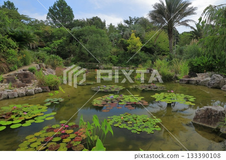 Beautiful pond view in Monet's Bordighera Garden in Kitagawa Village Beautiful pond view in Monet's Bordighera Garden in Kitagawa Village 133390108