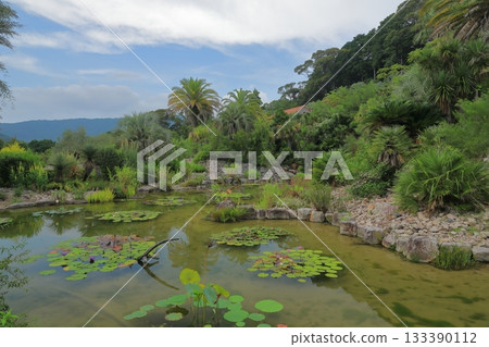 View of the Bordighera garden in Monet's garden in Kitagawa Village with a beautiful pond 133390112