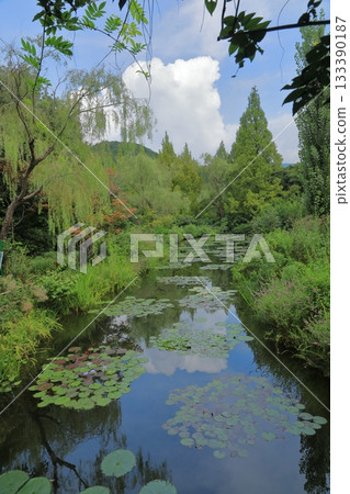 A view of the pond reflecting the blue sky in the water garden of Monet's garden in Kitagawa Village A view of the pond reflecting the blue sky in the water garden of Monet's garden in Kitagawa Village 133390187