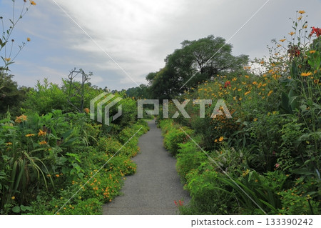 北川村莫奈花園花卉步道的景色 北川村莫奈花園花卉步道的景色 133390242