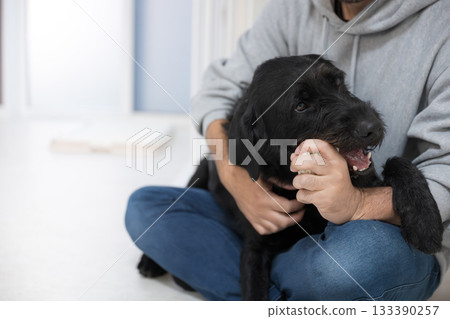 Relieving chewing urges in large dogs who gnaw and chew Relieving chewing urges in large dogs who gnaw and chew 133390257