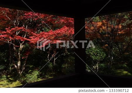 Saige-ji秋葉 Saige-ji秋葉 133390712