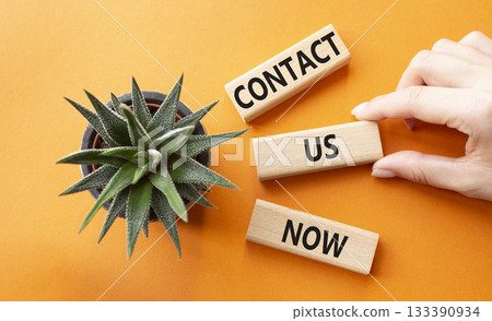 Contact us now symbol. Wooden blocks with words Contact us now. Beautiful orange background with succulent plant. Businessman hand. Business and Contact us now concept. Copy space. 133390934