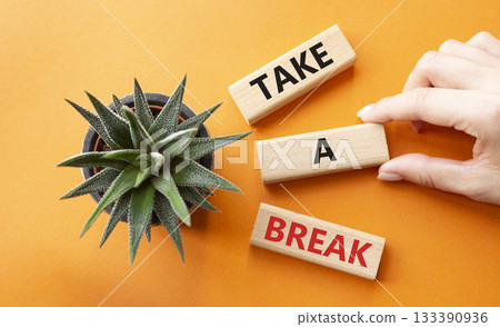 Take a break symbol. Concept words Take a break on wooden blocks with succulent plant. Businessman hand. Beautiful orange background. Business and Take a break concept. Copy space. 133390936