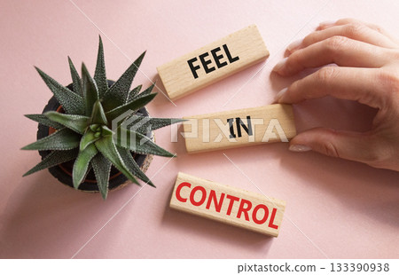 Feel in Control symbol. Wooden blocks with words Feel in Control. Beautiful pink background with succulent plant. Businessman hand. Business and Feel in Control concept. Copy space. 133390938