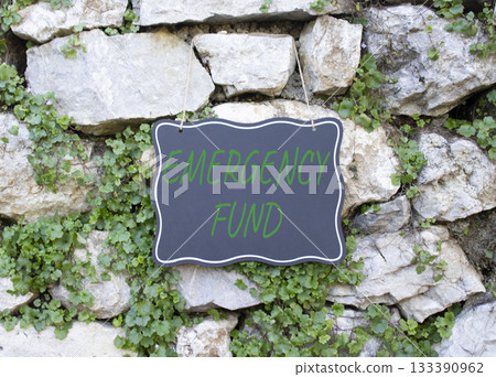 Emergency Fund symbol. Stone wall with words Emergency Fund. Beautiful stone background with plants. Business and Emergency Fund concept. Copy space. 133390962