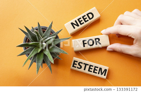 Need for Esteem symbol. Concept words Need for Esteem on wooden blocks. Beautiful orange background with succulent plant. Businessman hand. Business and Need for Esteem concept. Copy space. Need for Esteem symbol. Concept words Need for Esteem on wooden blocks. Beautiful orange background with succulent plant. Businessman hand. Business and Need for Esteem concept. Copy space. 133391172