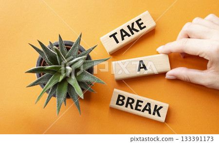 Take a break symbol. Concept words Take a break on wooden blocks with succulent plant. Businessman hand. Beautiful orange background. Business and Take a break concept. Copy space. 133391173