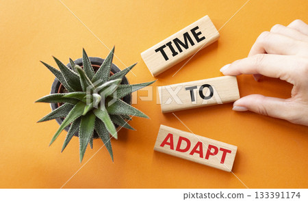 Time to Adapt. Wooden blocks with words Time to Adapt. Beautiful orange background. Businessman hand. Business and Manage and Time to Adapt concept. Copy space. 133391174