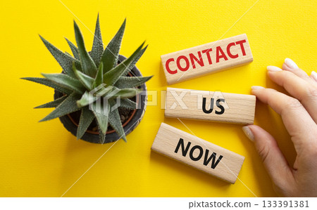 Contact us now symbol. Wooden blocks with words Contact us now. Beautiful yellow background with succulent plant. Businessman hand. Business and Contact us now concept. Copy space. 133391381