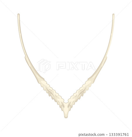 Illustration of wedding necklace  133391761