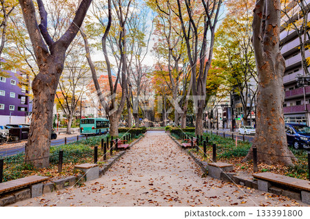 秋日漫步仙台定禪寺大街,感受「樹之城」的魅力 秋日漫步仙台定禪寺大街,感受「樹之城」的魅力 133391800