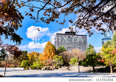 Autumn Walking along Jozenji Street in Sendai, the City of Trees 133391808