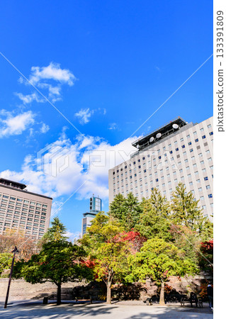 秋日漫步仙台定禪寺大街，感受「樹之城」的魅力 133391809