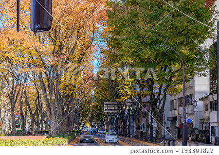 秋日漫步仙台定禪寺大街，感受「樹之城」的魅力 133391822