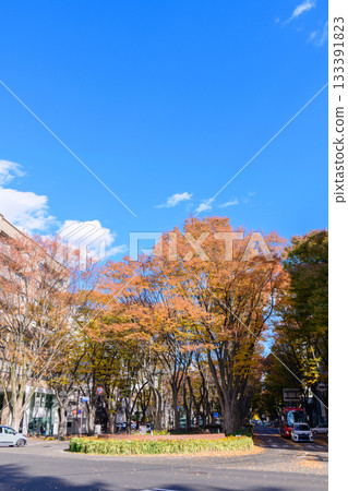秋日漫步仙台定禪寺大街,感受「樹之城」的魅力 秋日漫步仙台定禪寺大街,感受「樹之城」的魅力 133391823