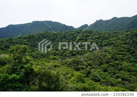 Aogashima的大凸部分 133392150