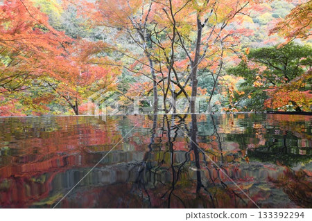 京都嵐山湯彩亭 133392294