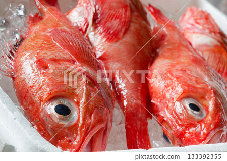 Kikiji (kinki) 133392355