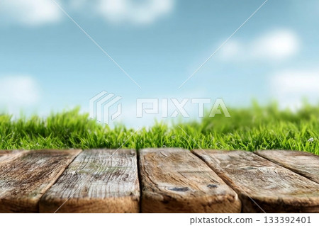 Summer Sky Blue,Cloud over Green bushes leaves on brown wood fence background. Euonymus fortunei Emerald,Gold Spindle Evergreen Shrub Hedge on old wooden in sunny day Spring,Fresness Nature background 133392401