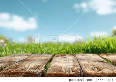 Summer Sky Blue,Cloud over Green bushes leaves on brown wood fence background. Euonymus fortunei Emerald,Gold Spindle Evergreen Shrub Hedge on old wooden in sunny day Spring,Fresness Nature background 133392403