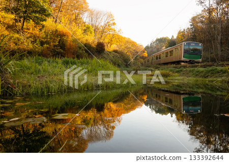 Burning autumn leaves and trains reflected in the water Burning autumn leaves and trains reflected in the water 133392644