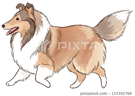 喜樂蒂犬快樂地奔跑著 133392766