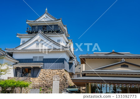 View of Okazaki Castle in Okazaki City (Aichi Prefecture) View of Okazaki Castle in Okazaki City (Aichi Prefecture) 133392773