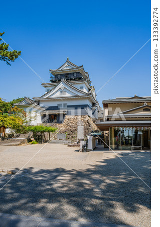 從岡崎市（愛知縣）眺望岡崎城 133392774