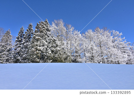 Blue sky and snowy plateau scenery (2) 133392895