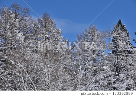 藍天和雪山高原景色（5） 133392899