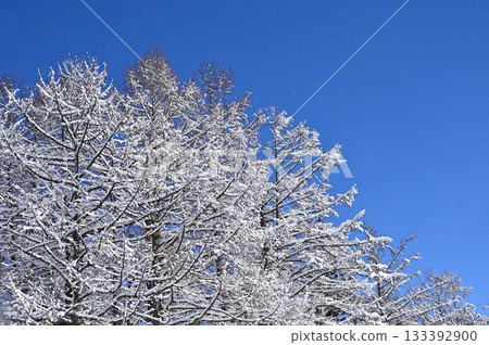 Blue sky and snowy plateau scenery (6) 133392900