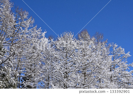 藍天和雪山高原景色（7） 133392901