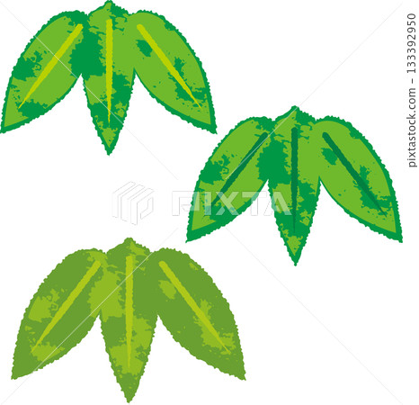 Japanese-style illustration of bamboo leaves, pine, bamboo, and plum New Year's design material Japanese-style illustration of bamboo leaves, pine, bamboo, and plum New Year's design material 133392950