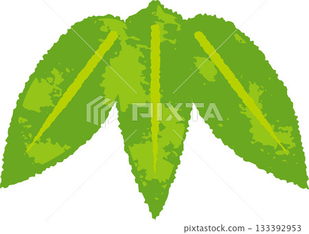 Japanese-style illustration of bamboo leaves, pine, bamboo, and plum New Year's design material Japanese-style illustration of bamboo leaves, pine, bamboo, and plum New Year's design material 133392953