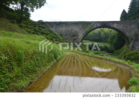 Tsujun Bridge and rice fields (Yamato Town, Kamimashiki District, Kumamoto Prefecture) Tsujun Bridge and rice fields (Yamato Town, Kamimashiki District, Kumamoto Prefecture) 133393632