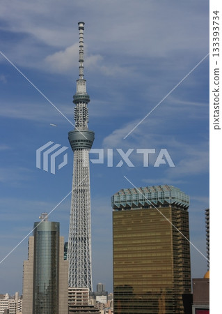 聳立在藍天上的東京晴空塔 133393734