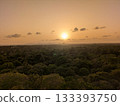 The view from Sigiriya Rock 133393750
