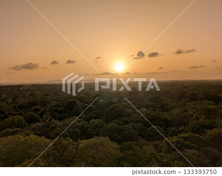 The view from Sigiriya Rock The view from Sigiriya Rock 133393750